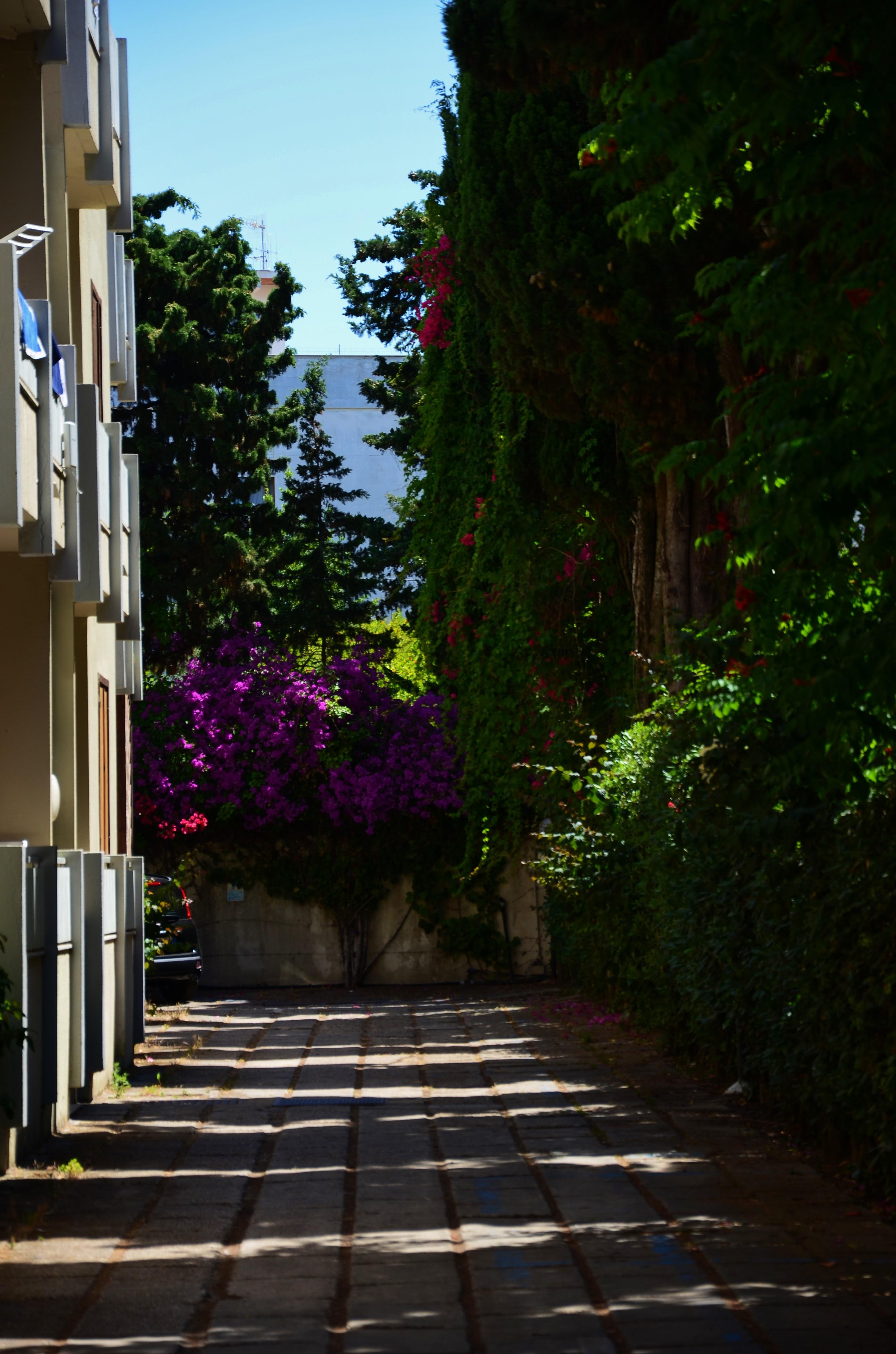 Residence Eucalipti Alghero Exterior foto